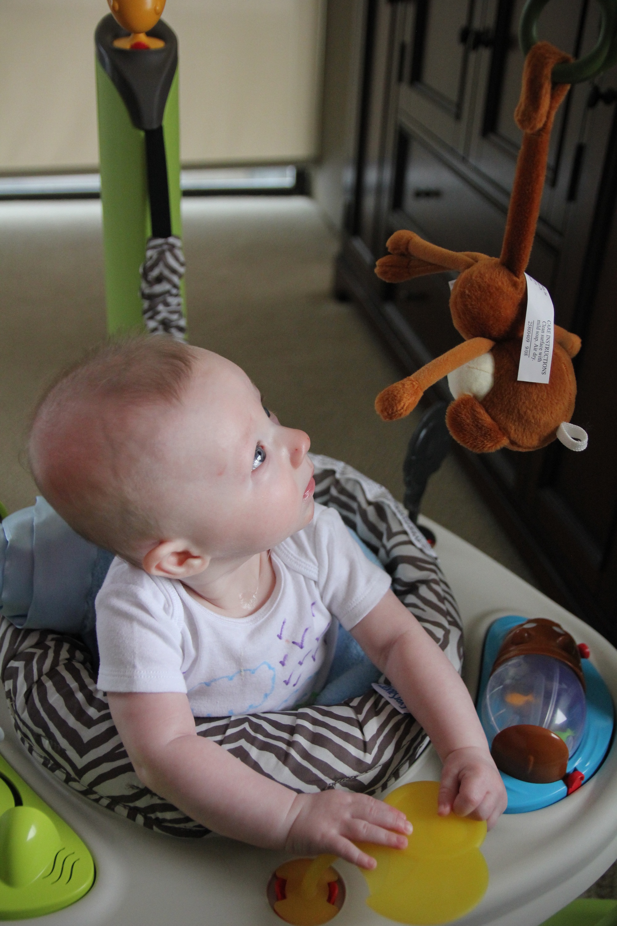 Baby looking at a toy